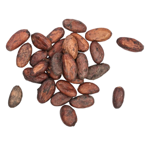 cocoa