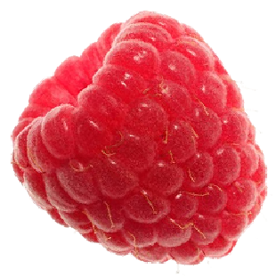 raspberry